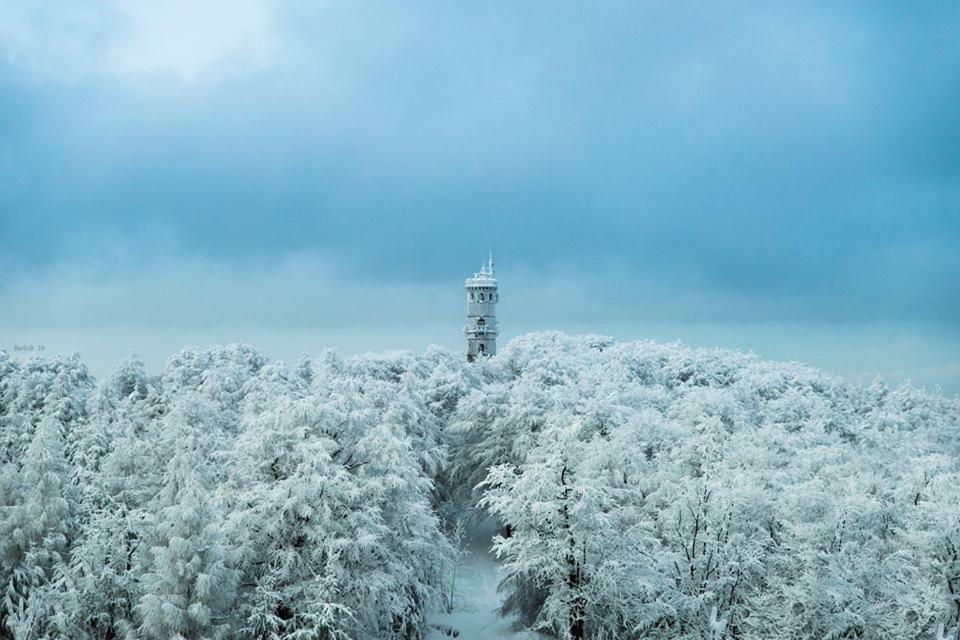 Chalupa Lužické hory Dolni Svetla Exterior foto